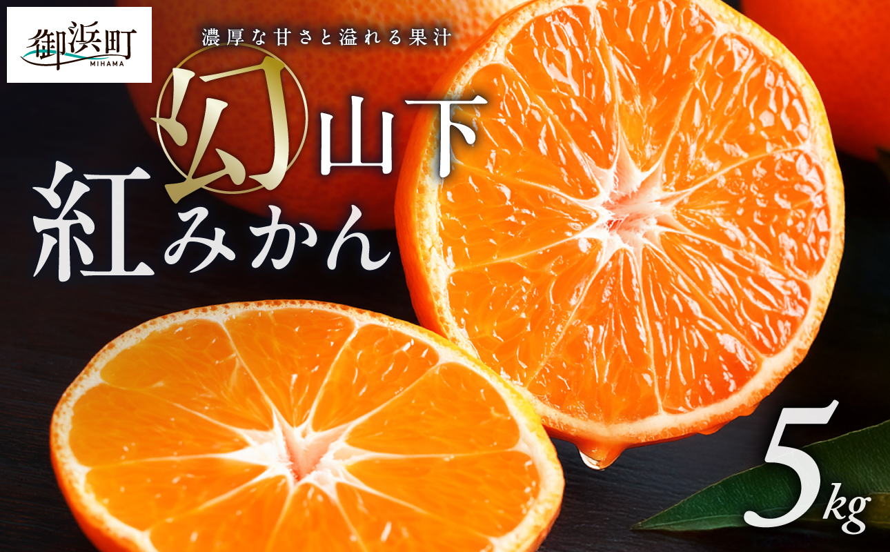 辻本農園の山下紅みかん5キロ【期間限定 数量限定 まぼろし 幻 高級 甘い 果物 ミカン フルーツ 柑橘 三重県 御浜町】
