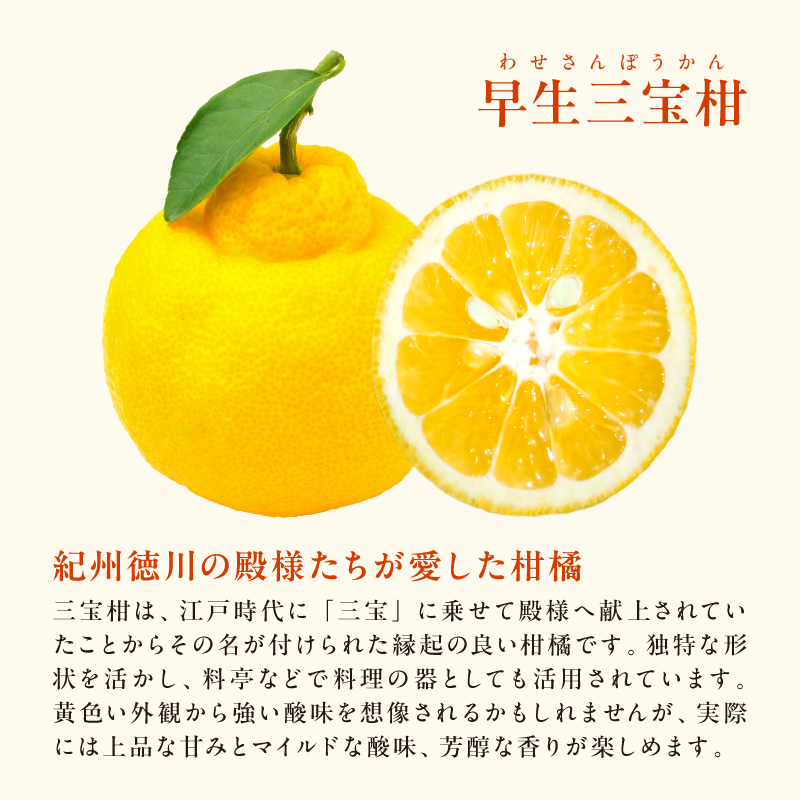 【2026年発送 先行予約品】2月の御浜柑橘　みかん詰め合わせ5キロ【果物 フルーツ みかん 市木オレンジ みえのスマイル 早生三宝柑 三宝柑 詰め合わせ 5kg 冬 三重県 御浜町】