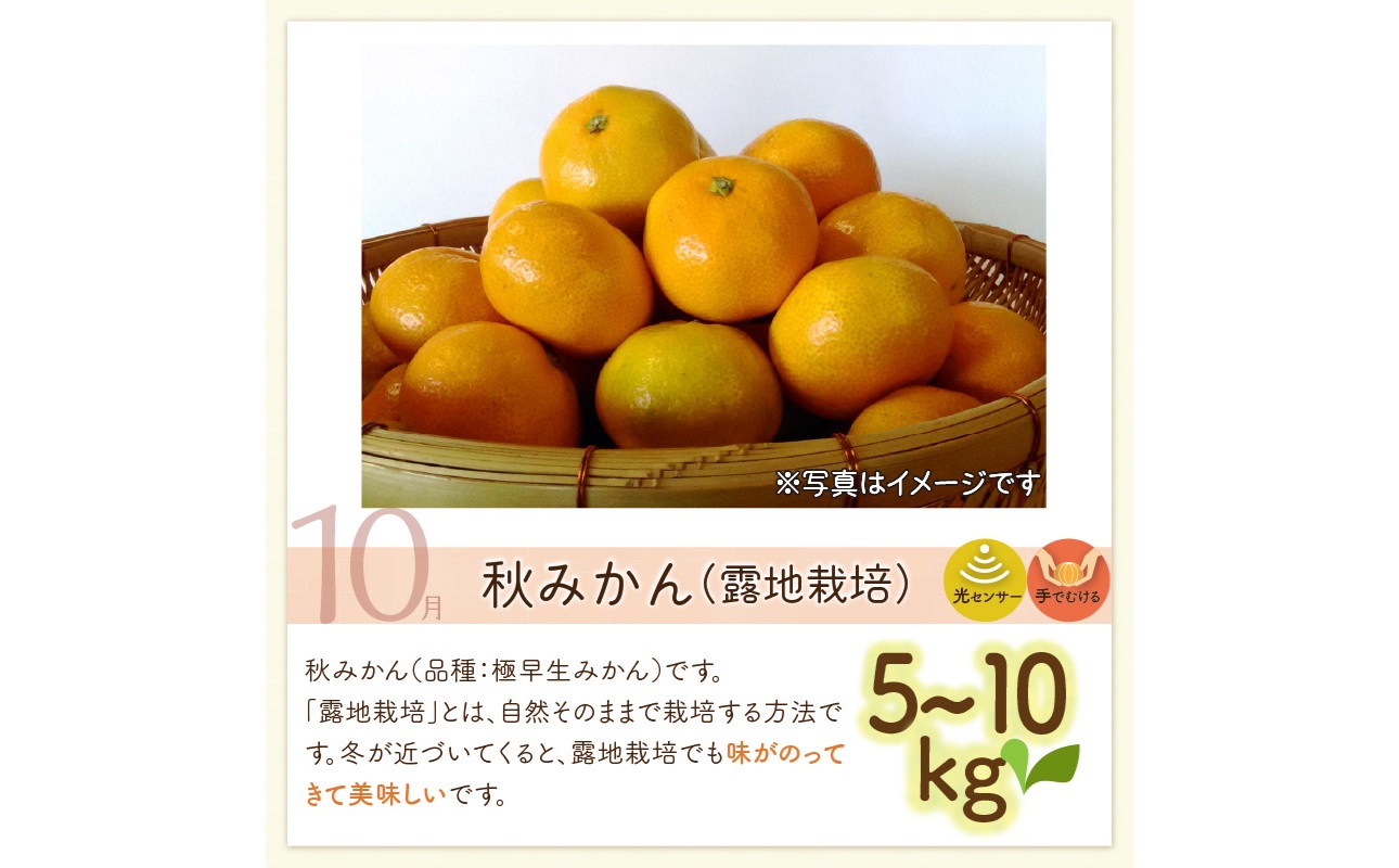 10月の御浜柑橘　秋みかん5～10キロ【先行予約 期間限定 果物 フルーツ みかん 極早生みかん 極早生 5kg ～ 10kg 露地栽培 三重県 御浜町】