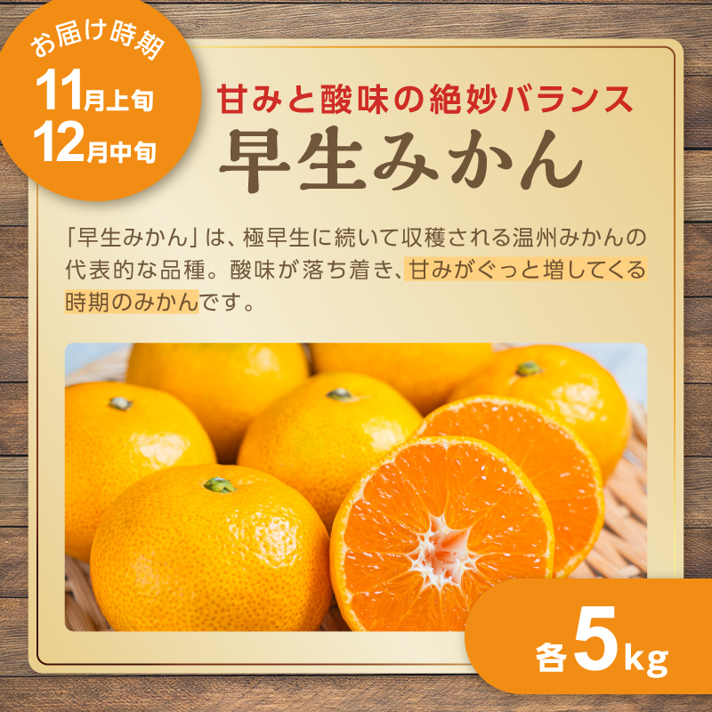 アグリの夢みかん食べくらべ（全5回）【期間限定 数量限定 果物 フルーツ みかん デザート 定期便 定期 5回 三重県 御浜町】