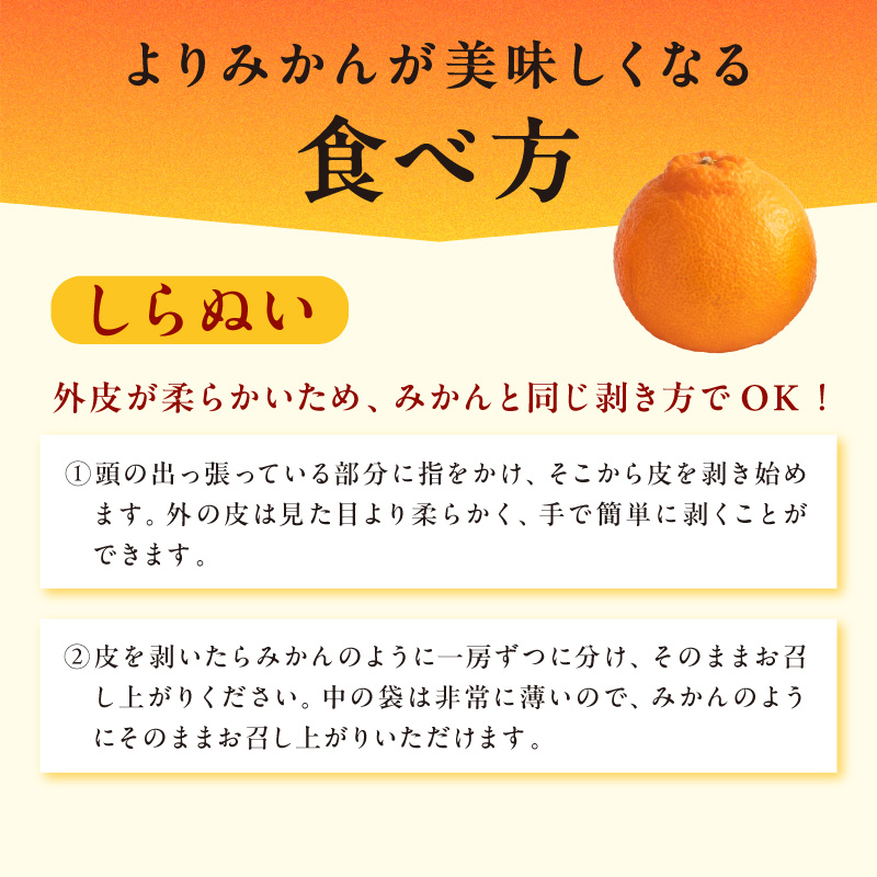 【2027年発送先行予約品】3月の御浜柑橘 メチャ甘しらぬい 3キロ前後【先行予約 期間限定 果物 フルーツ みかん 不知火 しらぬい 3kg前後 三重県 御浜町】