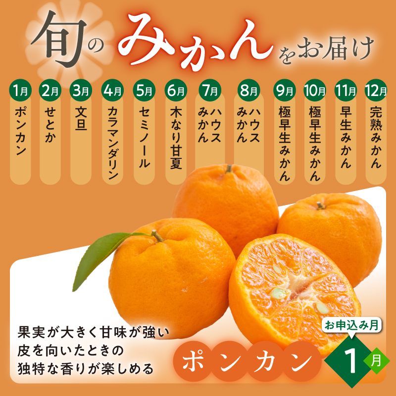 かきうち農園のみかんとジュースの詰め合わせ【果物 フルーツ みかん オレンジ デザート 旬 みかんジュース オレンジジュース セット 詰め合わせ 三重県 御浜町】