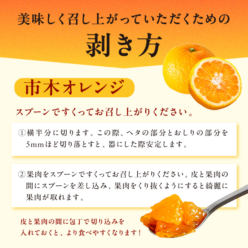 【2027年発送先行予約品】2月の御浜柑橘 みかん3種詰め合わせ 5キロ【先行予約 期間限定 果物 フルーツ みかん 詰め合わせ 5kg 三重県 御浜町】