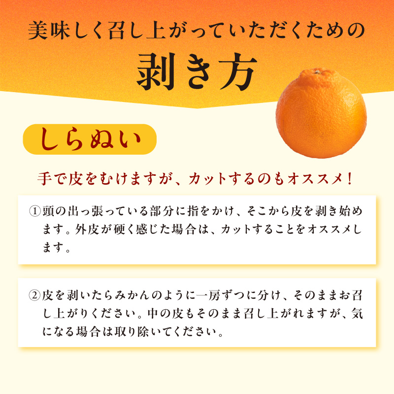 4月の御浜柑橘 メチャ甘しらぬい 3キロ前後【期間限定 果物 フルーツ みかん 不知火 しらぬい 3kg前後 三重県 御浜町】