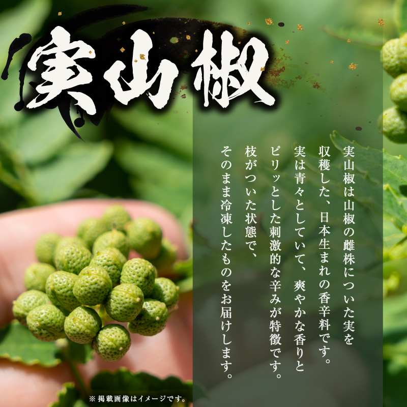 【国産】文恵丸水産 実山椒 500g 【 熊野山椒 実山椒 冷凍 調味料 香辛料 文恵丸水産 三重県 御浜町 】