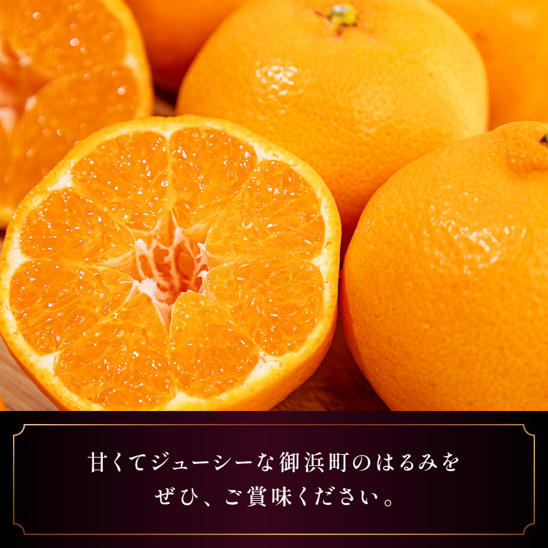 【2027年発送先行予約品】弾ける旨さ！ミカファームのはるみ5キロ【期間限定 数量限定 果物 フルーツ みかん はるみ デザート 5kg 三重県 御浜町】