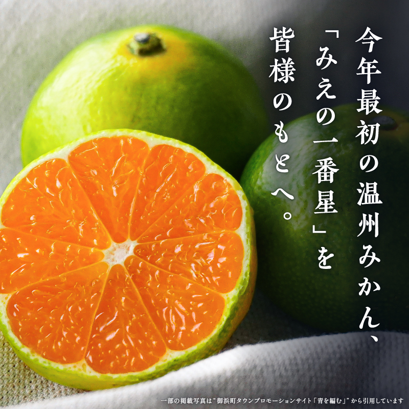 JAみえの一番星（味一号）5キロ【期間限定 数量限定 果物 フルーツ みかん 味一号 みえの一番星 超極早生 5kg 三重県 御浜町】