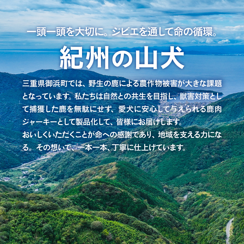 紀州犬のふるさと　ワンコお楽しみセット【犬用食品 ドックフード 鹿肉 ジャーキー ふりかけ あばらジャーキー おやつ ペット 犬 いぬ フード セット 詰め合わせ 保存料不使用 酸化防止剤不使用 着色料不使用 低脂肪 三重県 御浜町】
