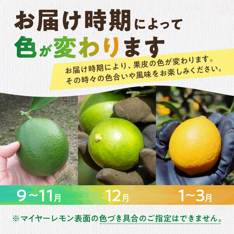 たかみ農園マイヤーレモンセット【希少 国産 レモン マイヤーレモン ドライフルーツ 黒にんにく レモン果汁 セット 詰め合わせ 三重県 御浜町】