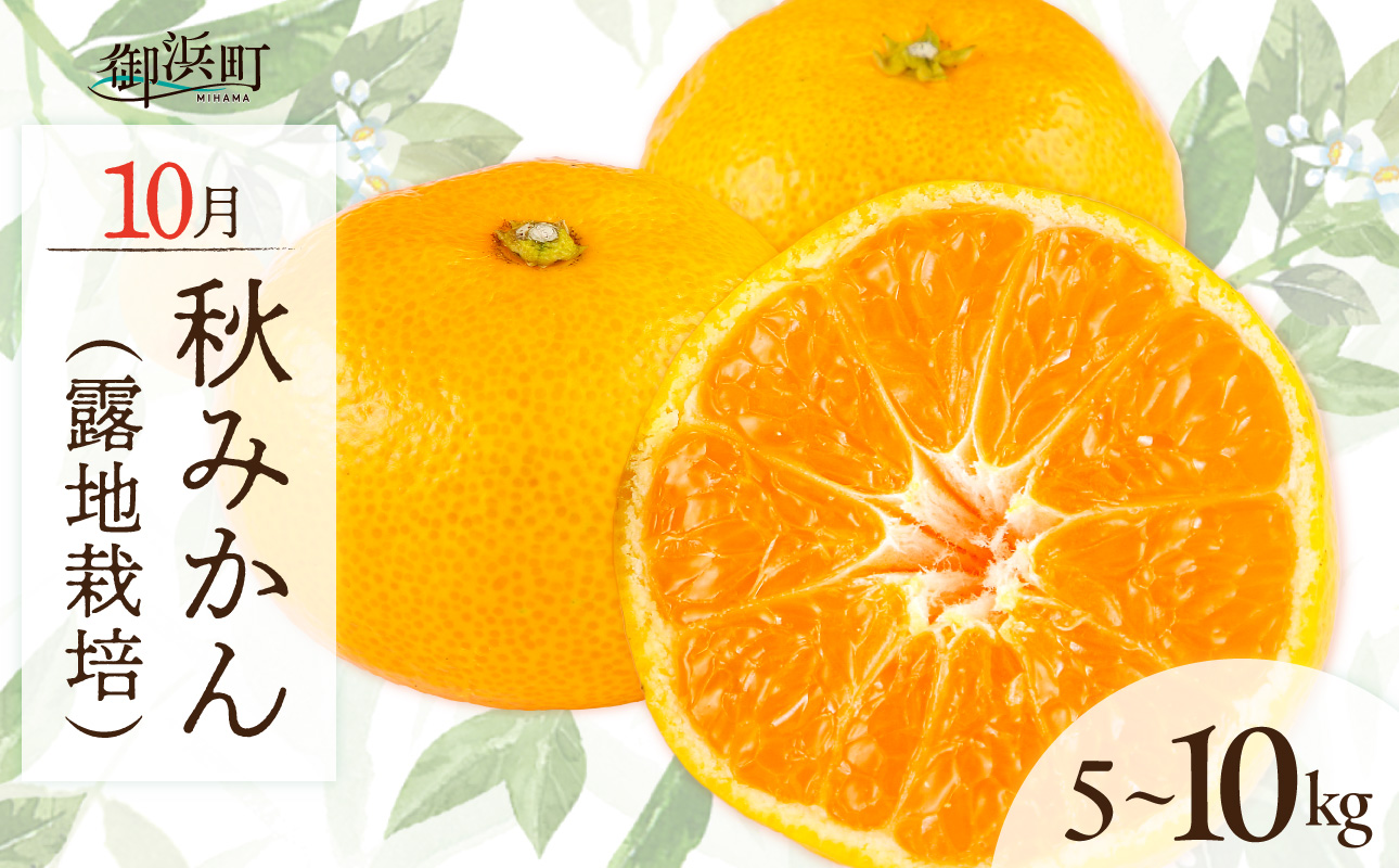 10月の御浜柑橘 秋みかん 5〜10キロ【先行予約 期間限定 果物 フルーツ みかん 極早生みかん 極早生 5kg 〜 10kg 露地栽培 三重県 御浜町】