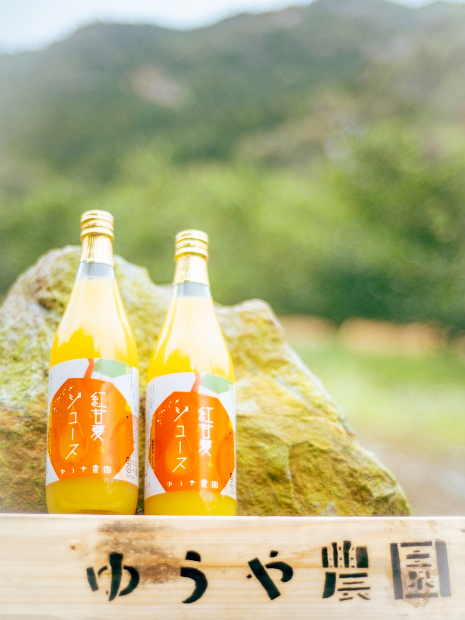 ゆうや農園の紅甘夏ジュース 720ml×2本【 数量限定 みかん 果物 柑橘 ジュース 飲料 ストレート ドリンク 果汁100% 三重県 御浜町 阿田和 国産 】