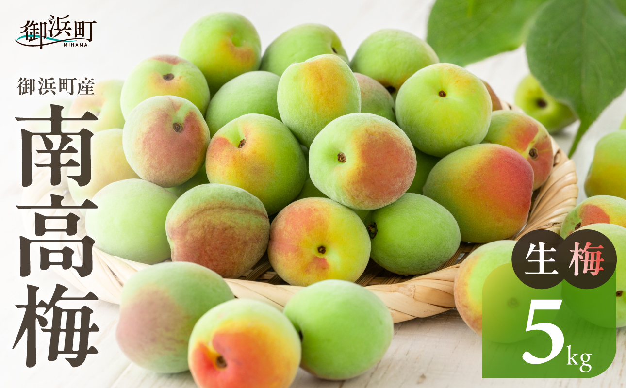 和光工房の南高梅（生）5キロ【期間限定 梅 うめ 生梅 旬 南高梅 5kg 梅酒 梅シロップ 梅干し 梅ジュース 三重県 御浜町】