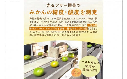 御浜柑橘の旬みかん又はジュースを毎月発送(全5回)【果物 フルーツ みかん 定期便 定期 5回 オレンジ オレンジジュース みかんジュース 光センサー 三重県 御浜町】