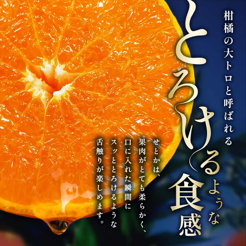 【2027年発送先行予約品】ミカファームのせとか5キロ（家庭用）【数量限定 果物 フルーツ みかん せとか デザート 5kg 三重県 御浜町】