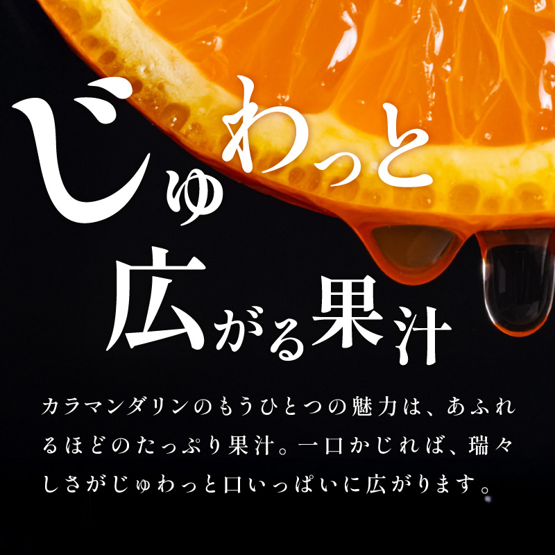 ミカファームのカラマンダリン5キロ（家庭用）【数量限定 果物 フルーツ みかん オレンジ カラマンダリン 家庭用 デザート 5kg 三重県 御浜町】