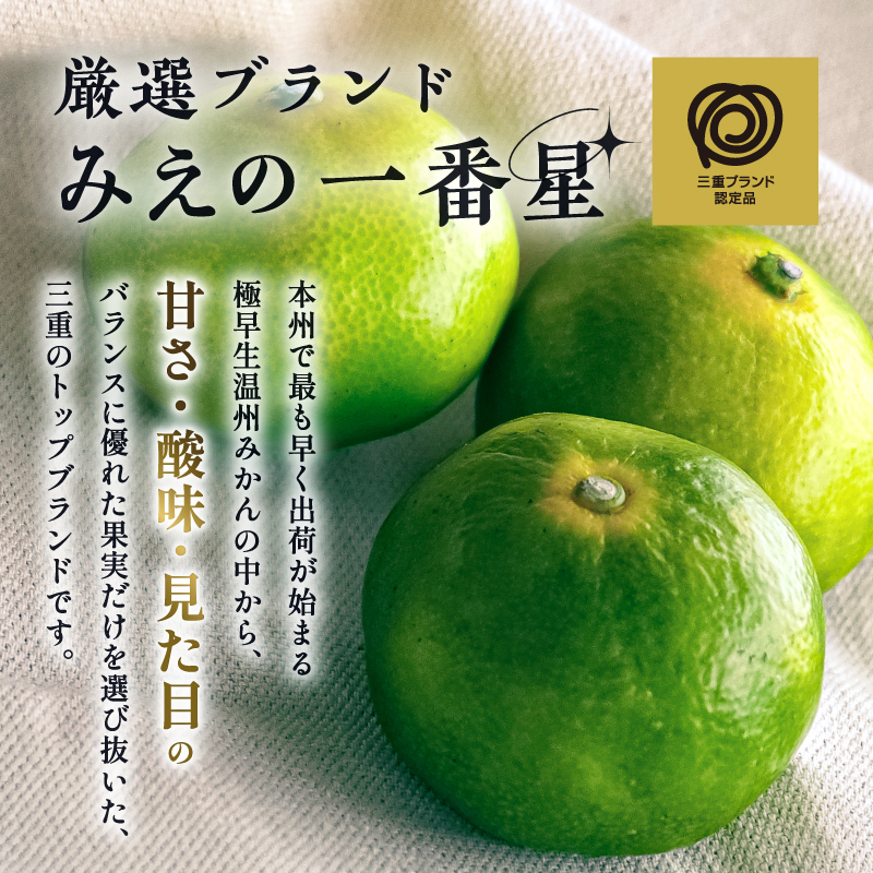 JAみえの一番星（味一号）5キロ【期間限定 数量限定 果物 フルーツ みかん 味一号 みえの一番星 超極早生 5kg 三重県 御浜町】