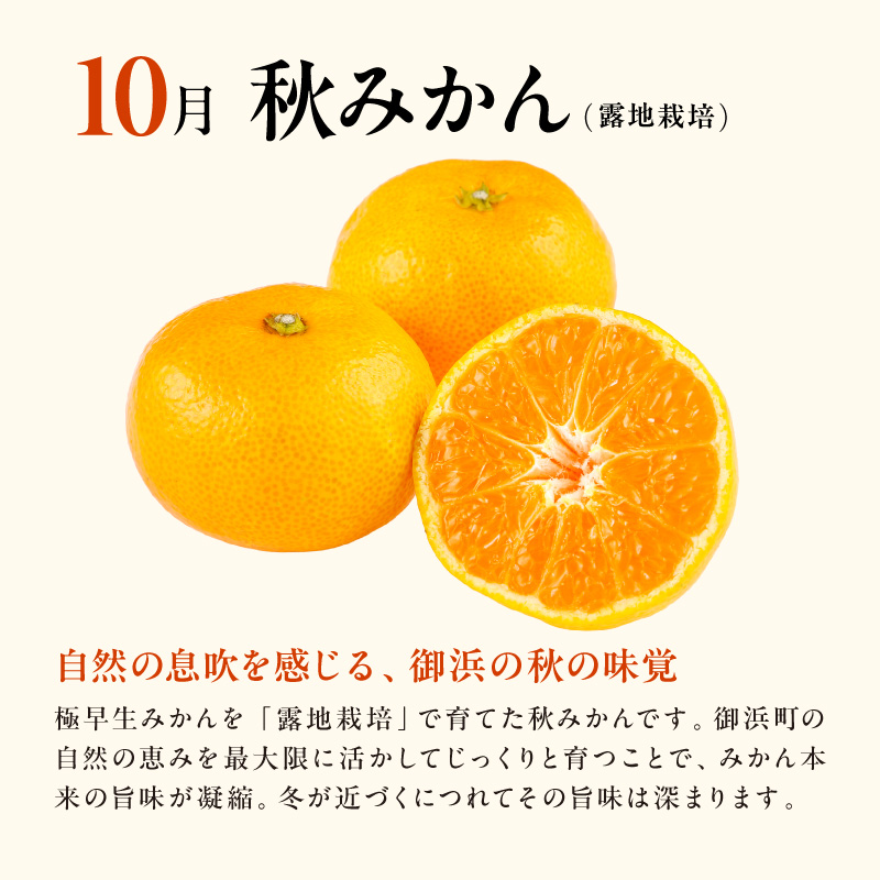 10月の御浜柑橘 秋みかん 5〜10キロ【先行予約 期間限定 果物 フルーツ みかん 極早生みかん 極早生 5kg 〜 10kg 露地栽培 三重県 御浜町】