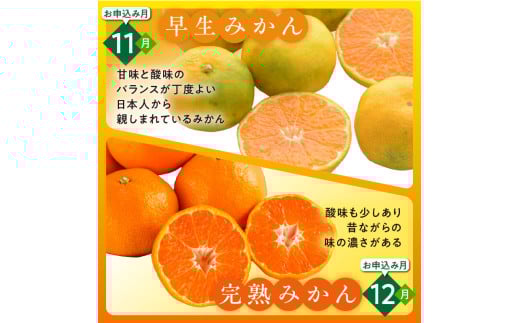 かきうち農園のみかんとジュースの詰め合わせ【果物 フルーツ みかん 旬 みかんジュース オレンジジュース セット 詰め合わせ 三重県 御浜町】
