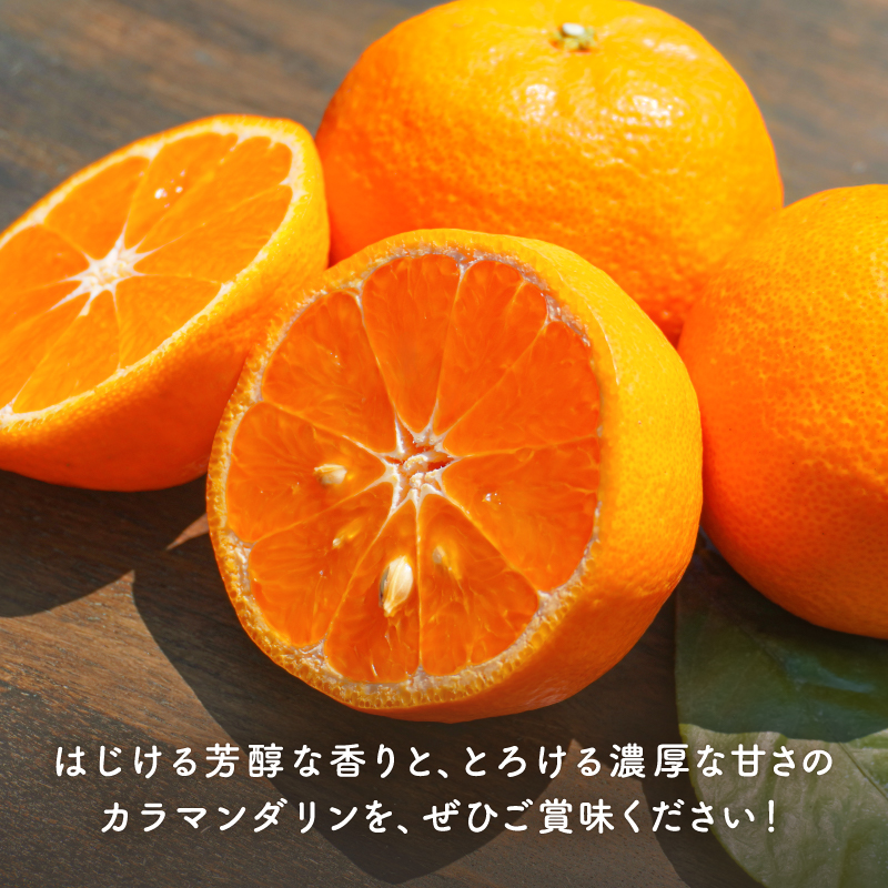 【2027年発送先行予約品】JAのカラマンダリン5キロ【先行予約 数量限定 果物 フルーツ みかん カラマンダリン 5kg 三重県 御浜町】