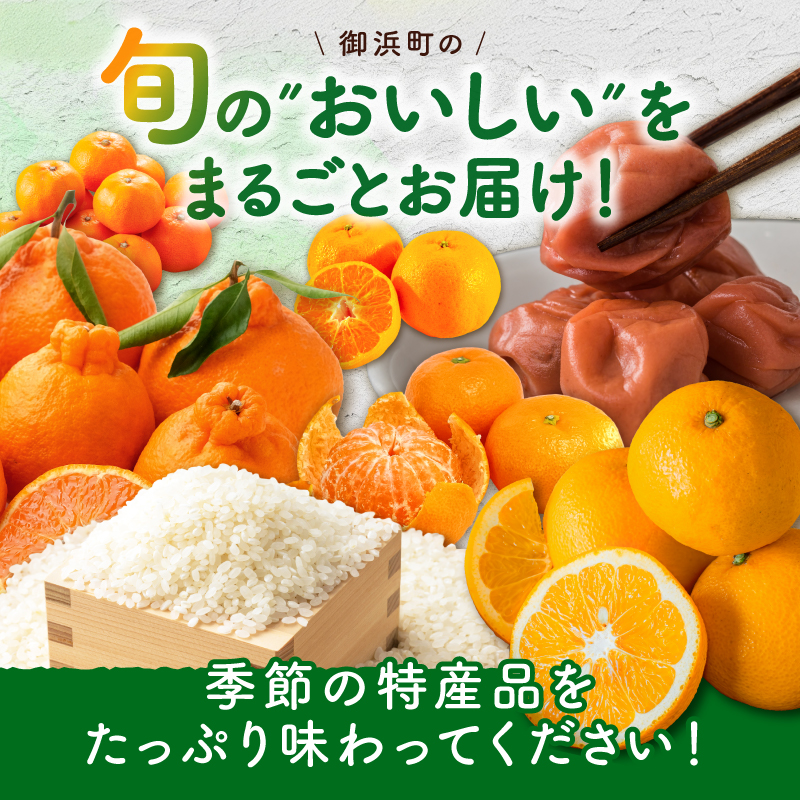 丸安青果の御浜町産特産品（全10回）【定期 定期便 10回 果物 フルーツ みかん 米 お米 梅干し 梅干 三重県 御浜町】