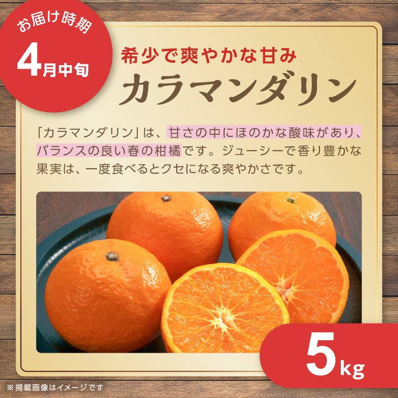 アグリの夢みかん食べくらべ（全5回）【期間限定 数量限定 果物 フルーツ みかん デザート 定期便 定期 5回 三重県 御浜町】