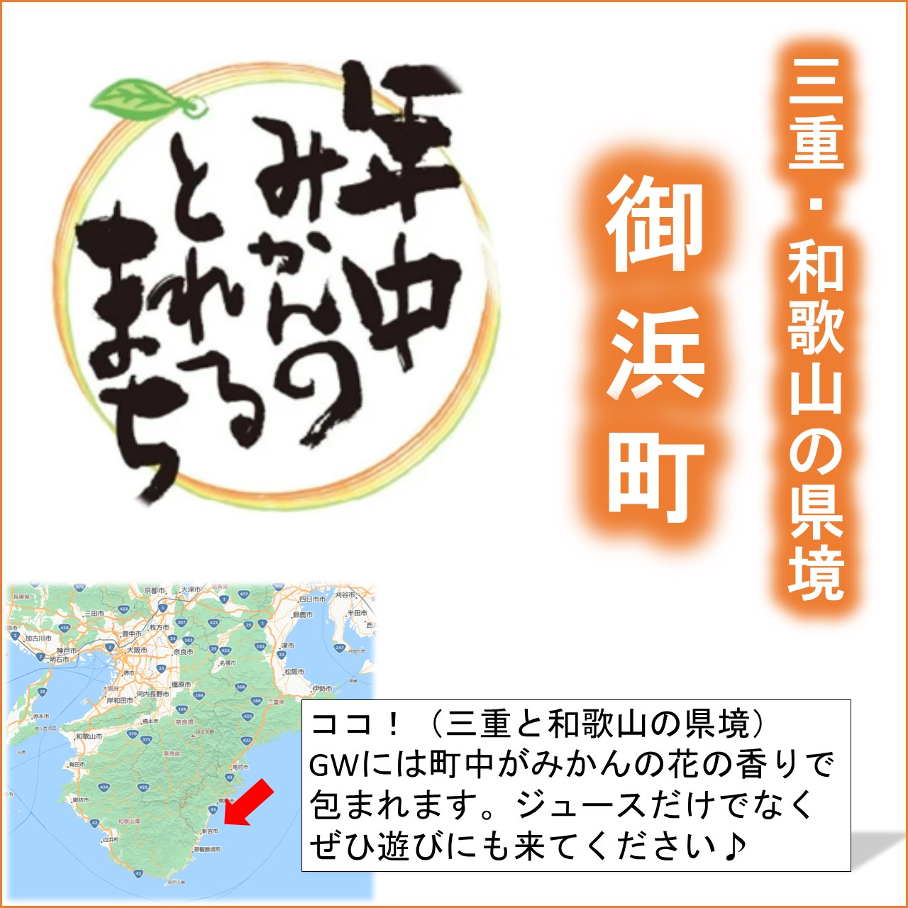 熊養蜂の濃厚高級セミノールジュース2本【 1L×2本 飲料 100％ストレート セミノール ドリンク みかんジュース オレンジジュース 三重県 御浜町】