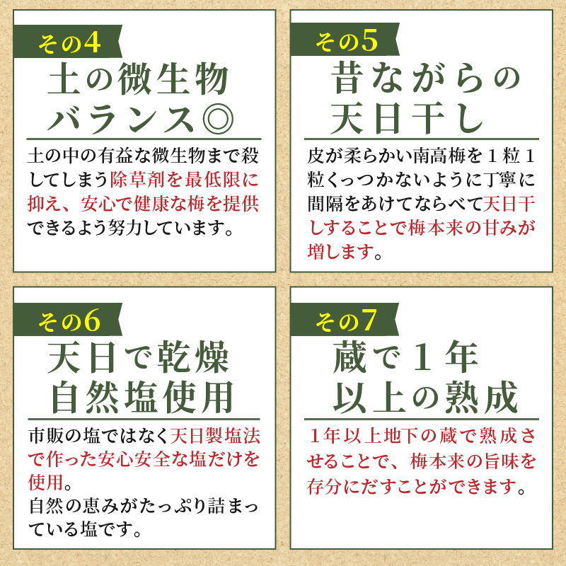 松本農園の大粒無添加南高梅2.5キロ 梅干し 梅干 梅 無添加 大容量 大粒 2.4kg 完熟梅 