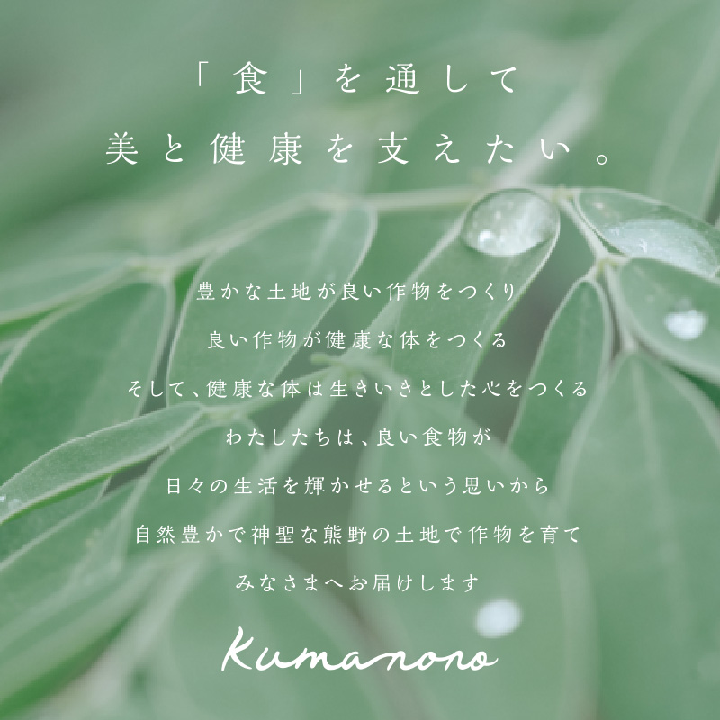 ブライトライフの奇跡のハーブ　ボルトジンユ茶【お茶 茶 ハーブティー ボントジンユ ティーパック ミネラル カリウム 三重県 御浜町】