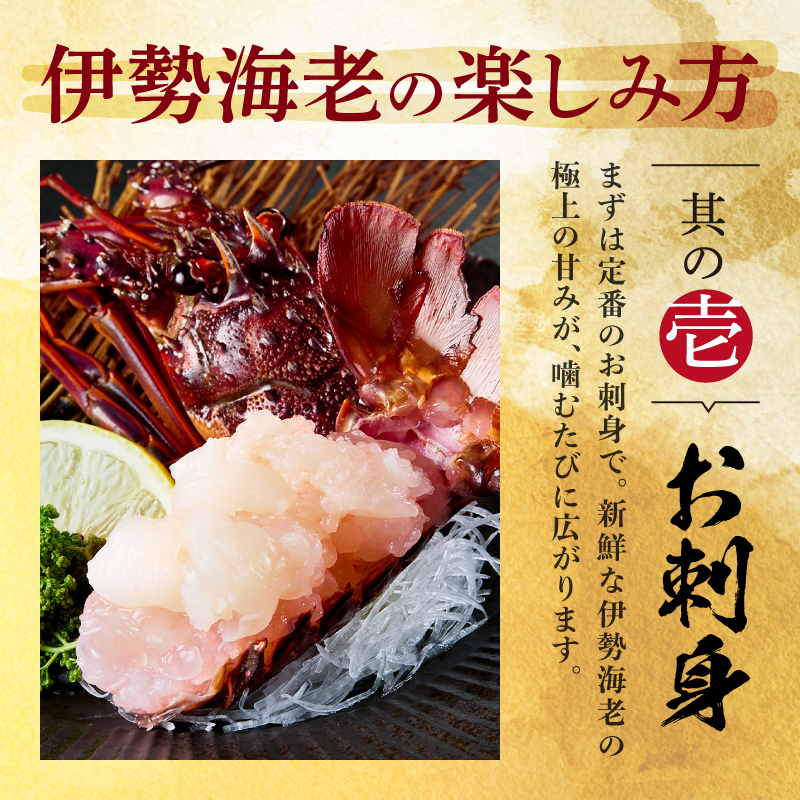［日付指定できる！］文恵丸水産の熊野灘産活伊勢海老　大漁コース 4〜12尾 約2.2kg前後【魚介 伊勢海老 伊勢えび 海老 えび 活き 三重県 御浜町 のし対応可 熨斗】