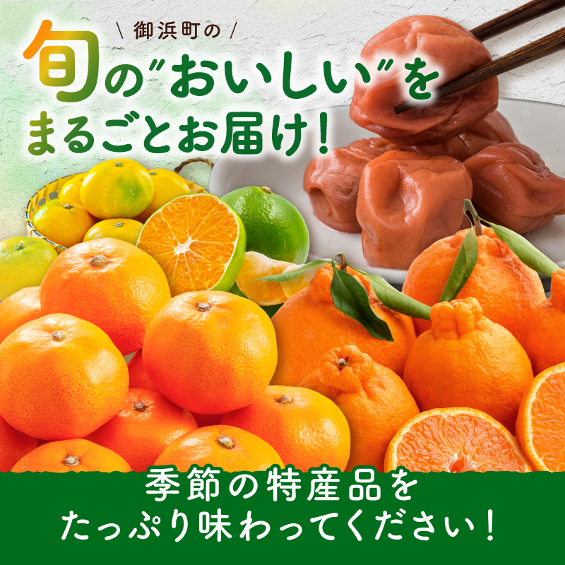 丸安青果の御浜町産特産品（全10回）【定期 定期便 10回 果物 フルーツ みかん 梅干し 梅干 三重県 御浜町】