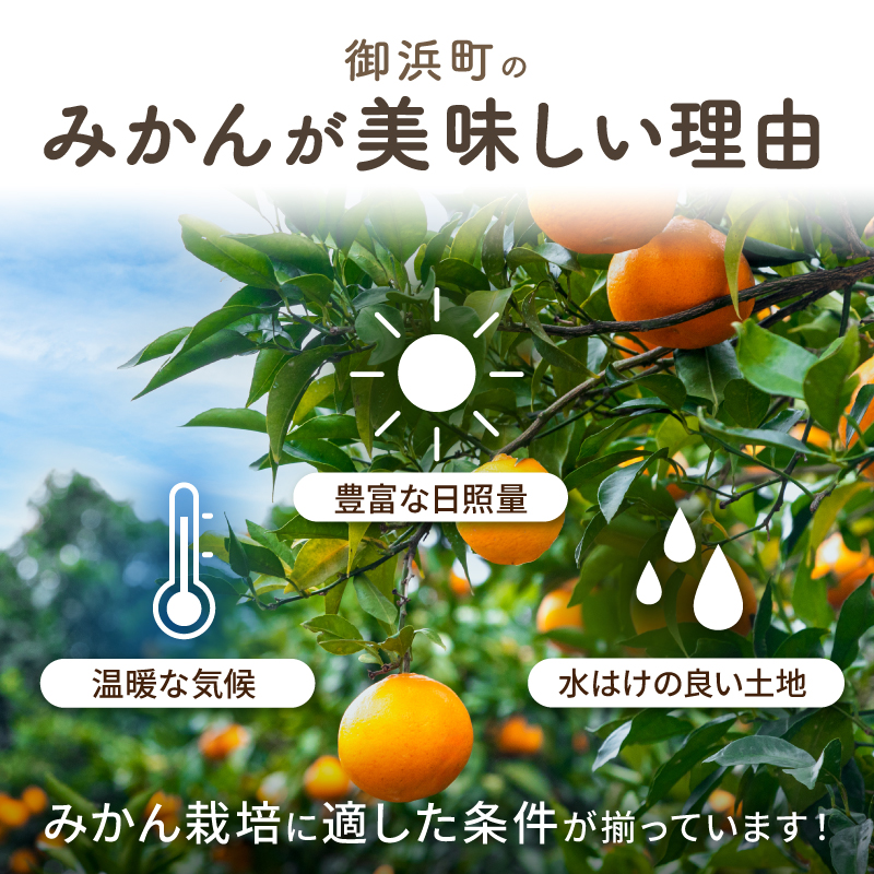 丸安青果の御浜町産特産品（全10回）【定期 定期便 10回 果物 フルーツ みかん 米 お米 梅干し 梅干 三重県 御浜町】