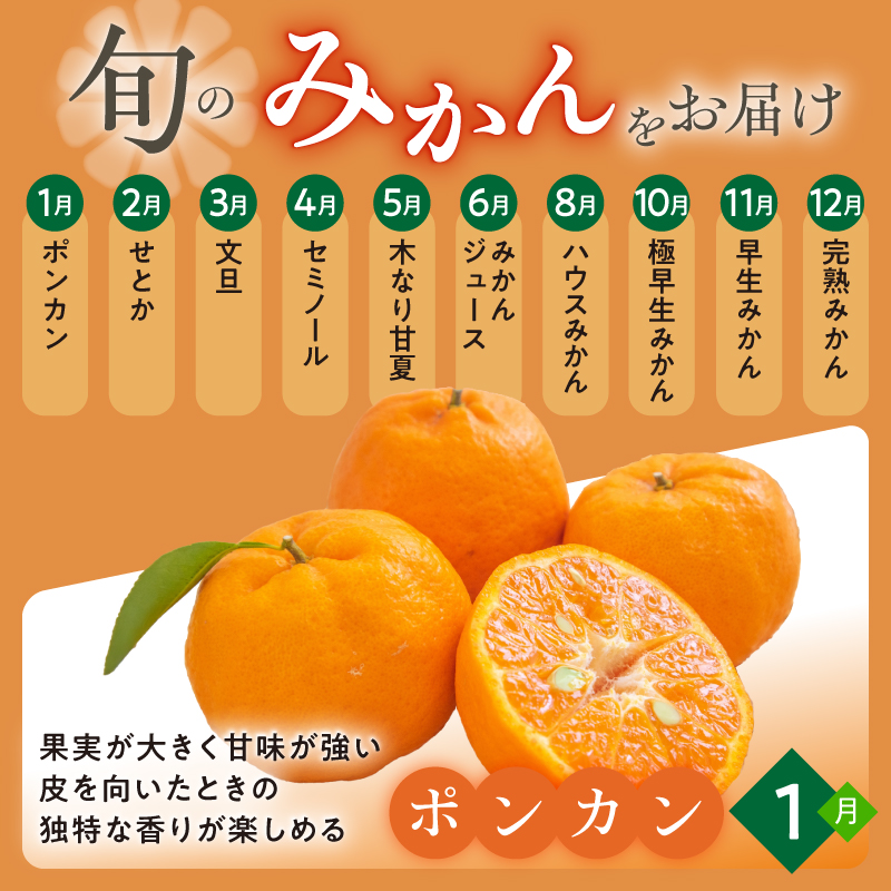 かきうち農園のオレンジ便（全10回）【果物 フルーツ みかん オレンジ デザート みかんジュース オレンジジュース 定期便 定期 10回 三重県 御浜町】