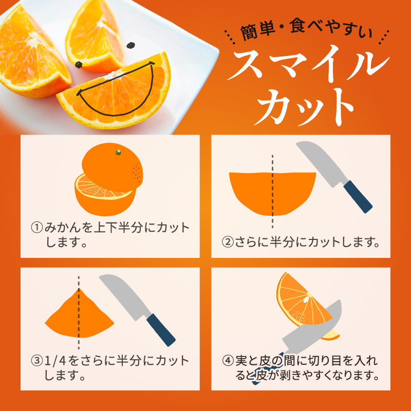 【2026年発送 先行予約品】ジューシーさダントツ！ミカファームのセミノール4.5キロ(贈答用)【数量限定 果物 フルーツ みかん セミノール デザート 4.5kg 贈答用 贈り物 三重県 御浜町】