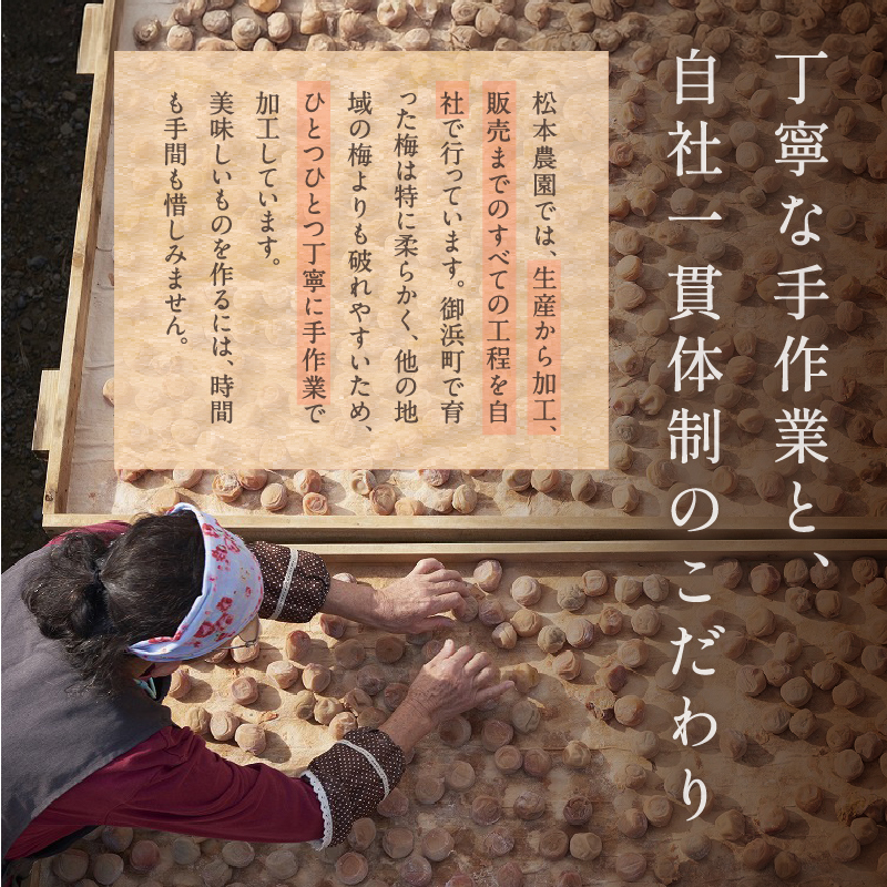 松本農園のはちみつつぶれ梅干し2キロ【梅干し 梅干 はちみつ つぶれ 訳あり 2kg 松本農園 三重県 御浜町】