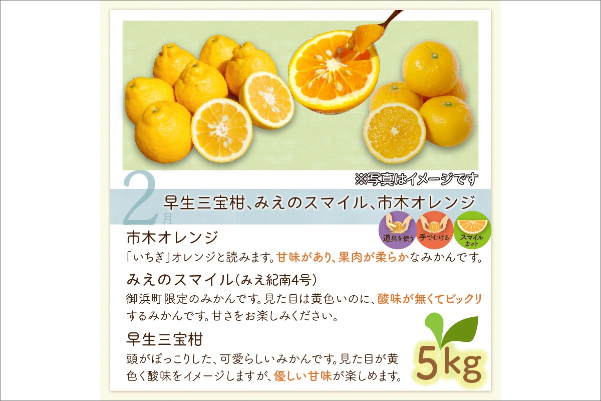 2月の御浜柑橘　みかん詰め合わせ5キロ
