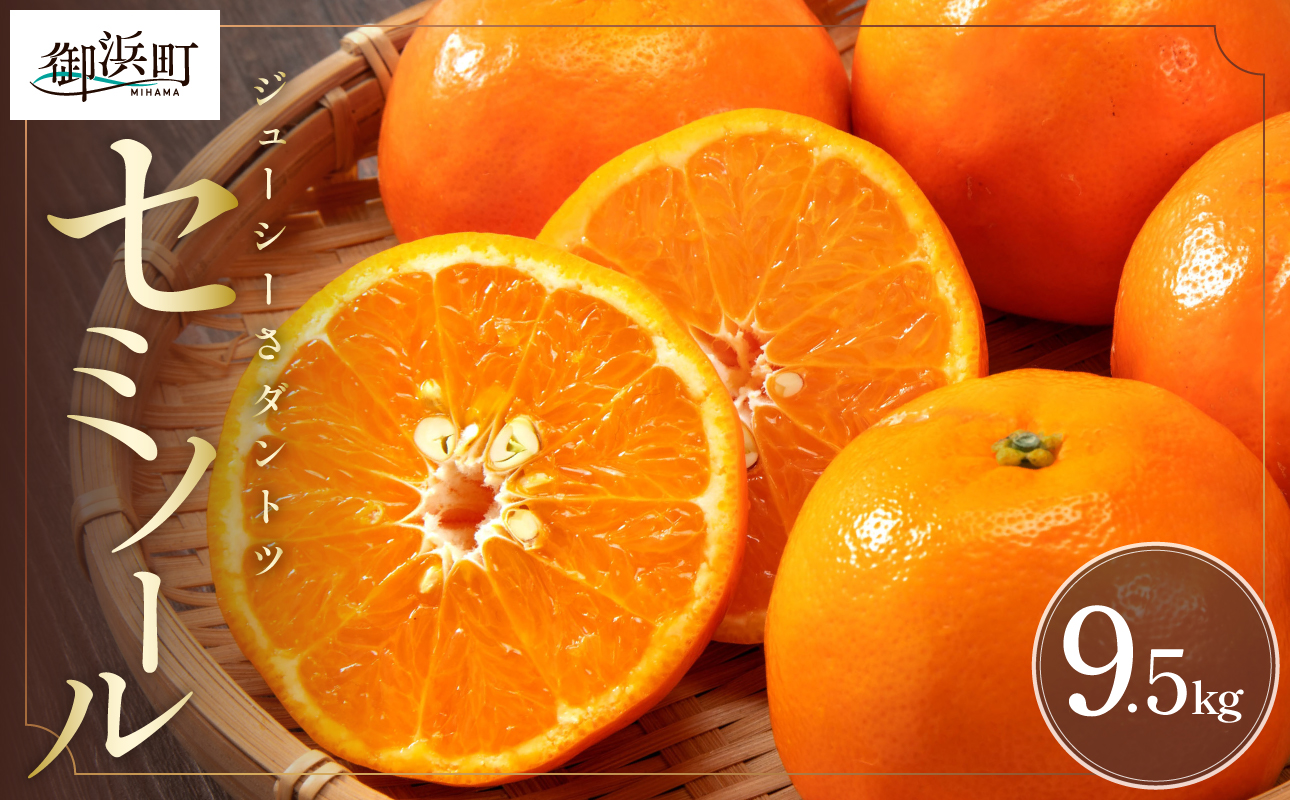 【2026年発送 先行予約品】ジューシーさダントツ！ミカファームのセミノール9.5キロ【数量限定 果物 フルーツ みかん セミノール デザート 9.5kg 三重県 御浜町】