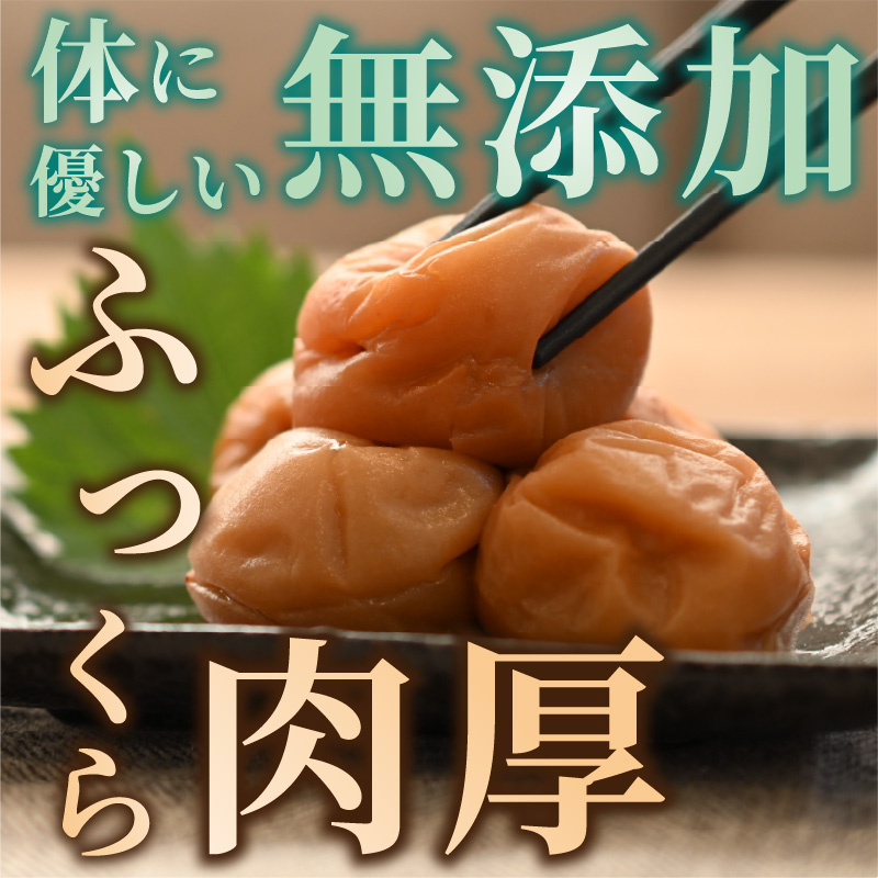 松本農園の大粒無添加南高梅2.5キロ 梅干し 梅干 梅 無添加 大容量 大粒 2.4kg 完熟梅 