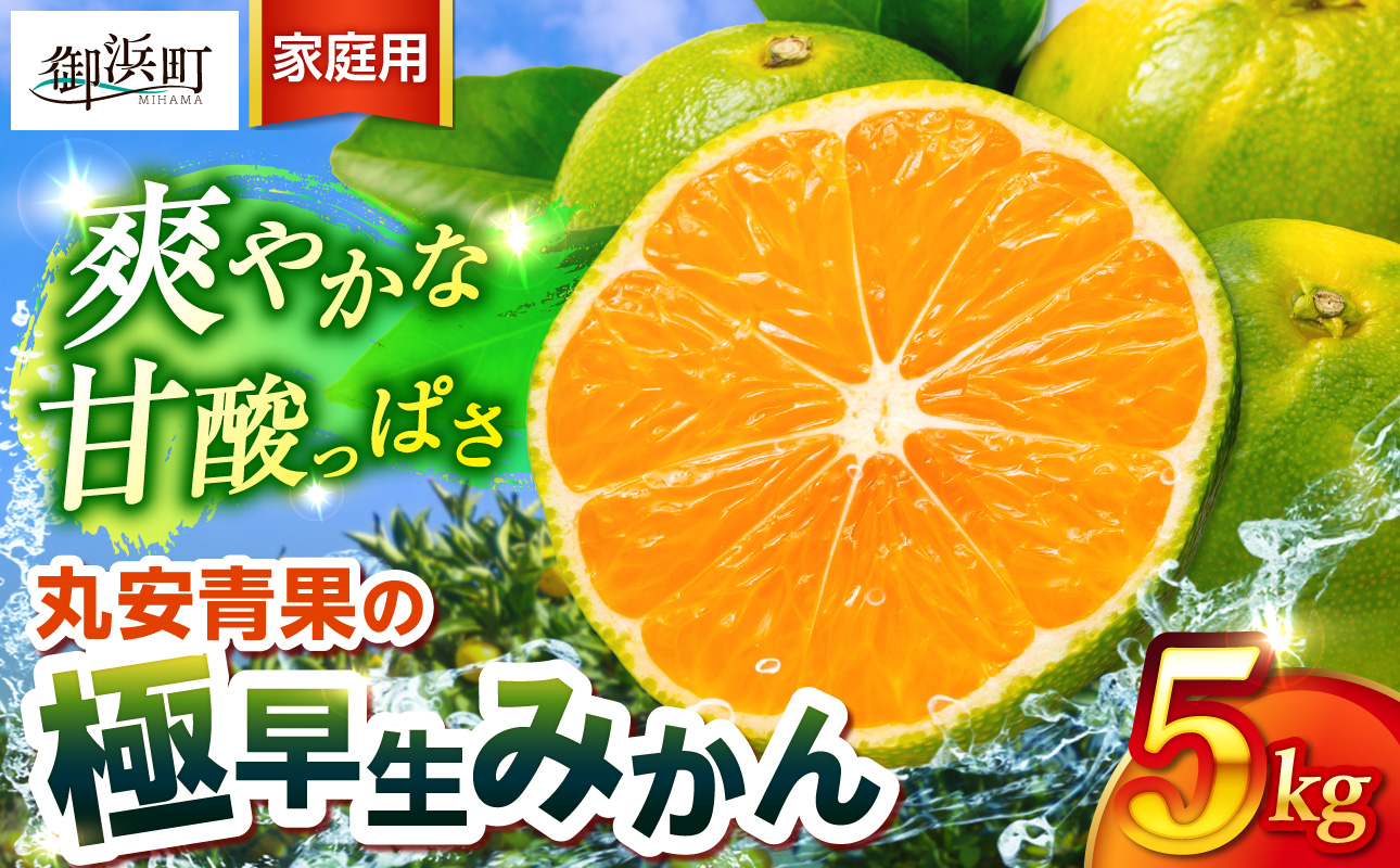 丸安青果の極早生みかん5キロ（家庭用) 【果物 フルーツ 訳あり 家庭用 蜜柑 みかん 極早生みかん 5kg 三重県 御浜町】