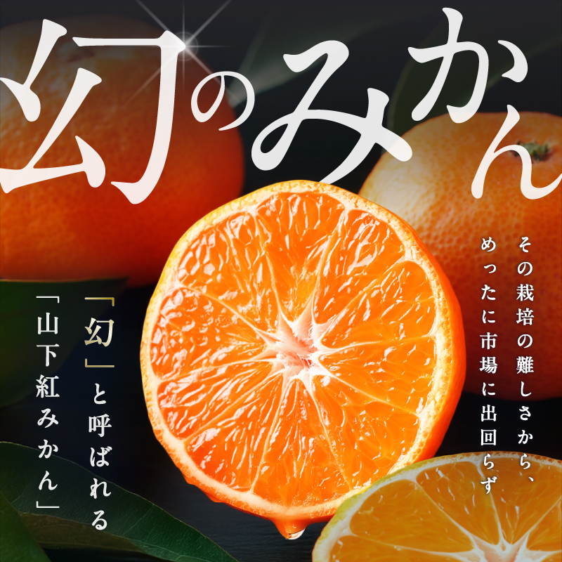 辻本農園の山下紅みかん大玉（家庭用）10キロ【期間限定 数量限定 キズあり まぼろし 幻 高級 甘い 果物 ミカン フルーツ 柑橘 家庭用 三重県 御浜町】