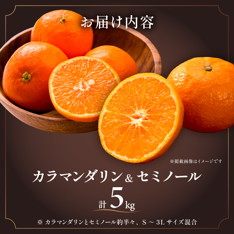 ミカファームのカラマンダリン＆セミノール5キロ【数量限定 果物 フルーツ みかん カラマンダリン セミノール デザート 5kg セット 詰め合わせ 三重県 御浜町】