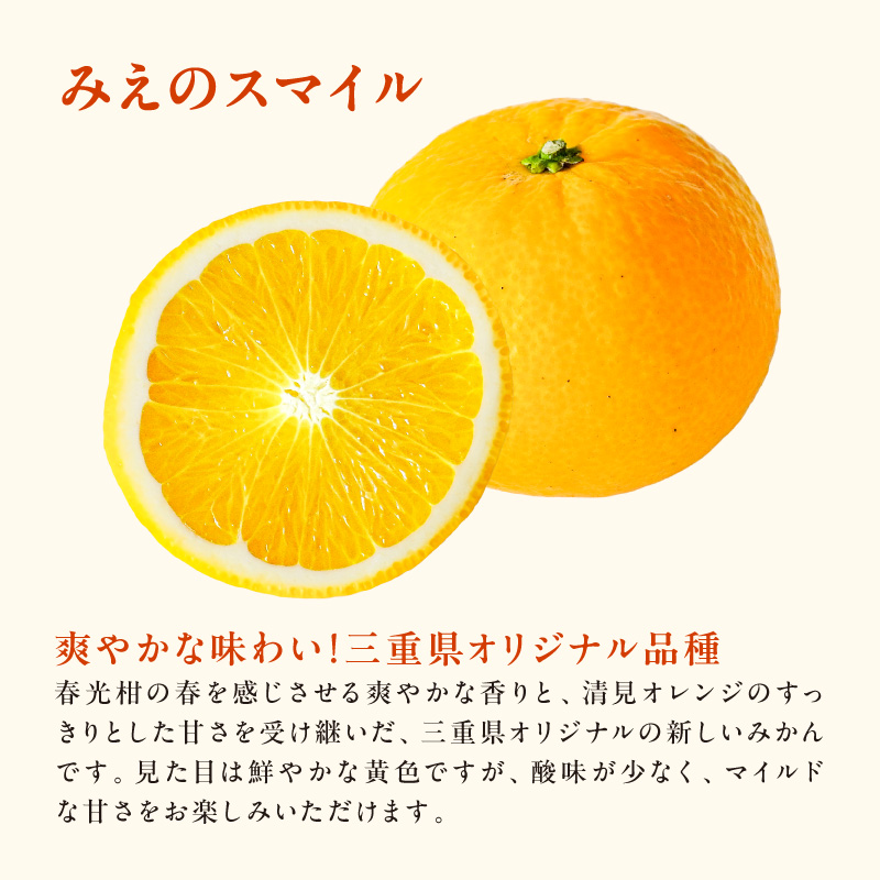 【2027年発送先行予約品】2月の御浜柑橘 みかん3種詰め合わせ 5キロ【先行予約 期間限定 果物 フルーツ みかん 詰め合わせ 5kg 三重県 御浜町】