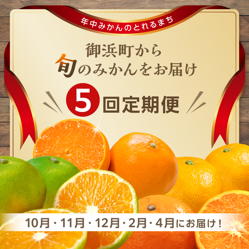 アグリの夢みかん食べくらべ（全5回）【期間限定 数量限定 果物 フルーツ みかん デザート 定期便 定期 5回 三重県 御浜町】