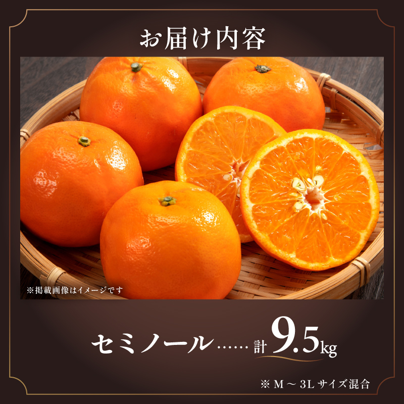 【2026年発送 先行予約品】ジューシーさダントツ！ミカファームのセミノール9.5キロ【数量限定 果物 フルーツ みかん セミノール デザート 9.5kg 三重県 御浜町】