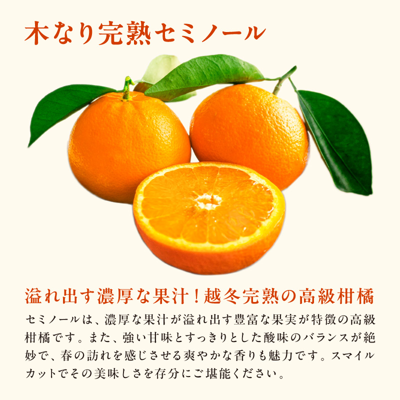 5月の御浜柑橘 みかん2種詰め合わせ 7キロ【先行予約 期間限定 果物 フルーツ みかん セミノール 甘夏 詰め合わせ セット 7kg 三重県 御浜町】