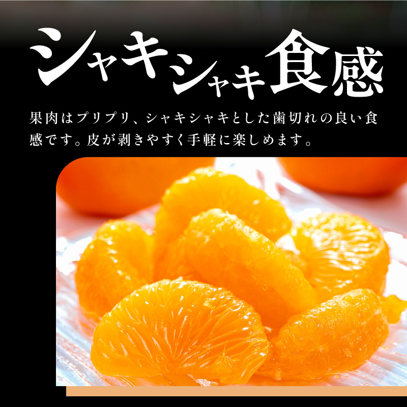 【2027年発送先行予約品】旨みと香りを産地直送！ミカファームのポンカン5キロ【期間限定 数量限定 果物 フルーツ みかん ぽんかん デザート 5kg 三重県 御浜町】