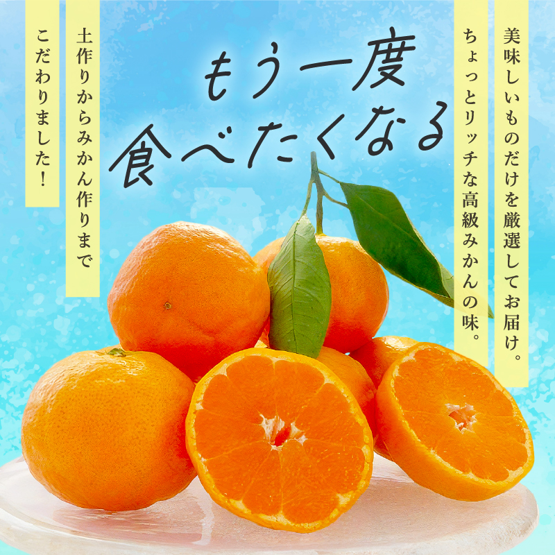 北東農園の温州みかん5キロ【数量限定 期間限定 果物 フルーツ みかん 温州みかん 5kg 三重県 御浜町】