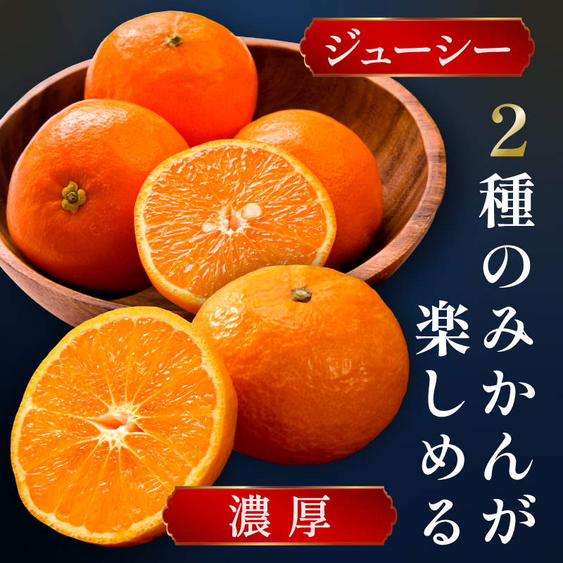 ミカファームのカラマンダリン＆セミノール9キロ【数量限定 果物 フルーツ みかん カラマンダリン セミノール デザート 9kg セット 詰め合わせ 三重県 御浜町】