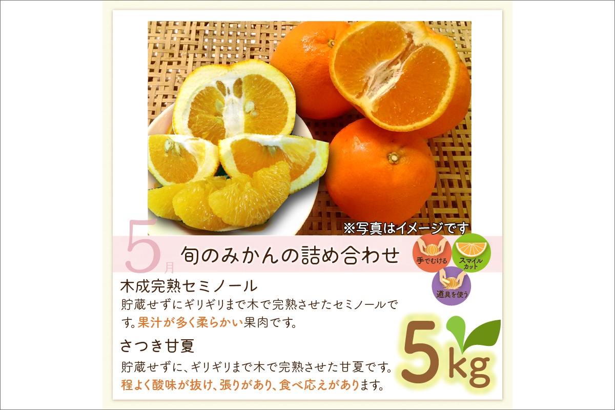 5月の御浜柑橘　みかん詰め合わせ5キロ