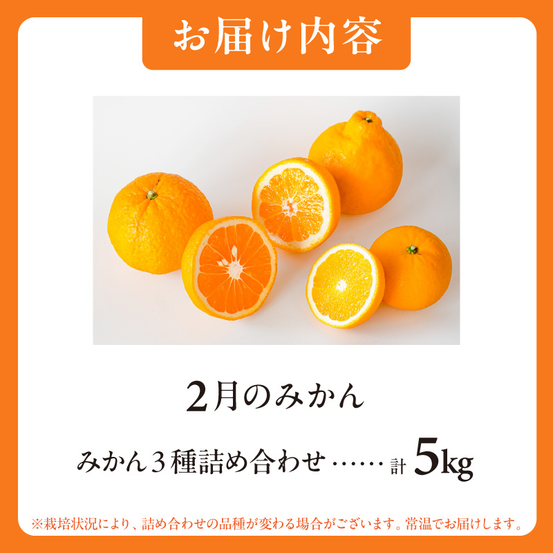 【2027年発送先行予約品】2月の御浜柑橘 みかん3種詰め合わせ 5キロ【先行予約 期間限定 果物 フルーツ みかん 詰め合わせ 5kg 三重県 御浜町】