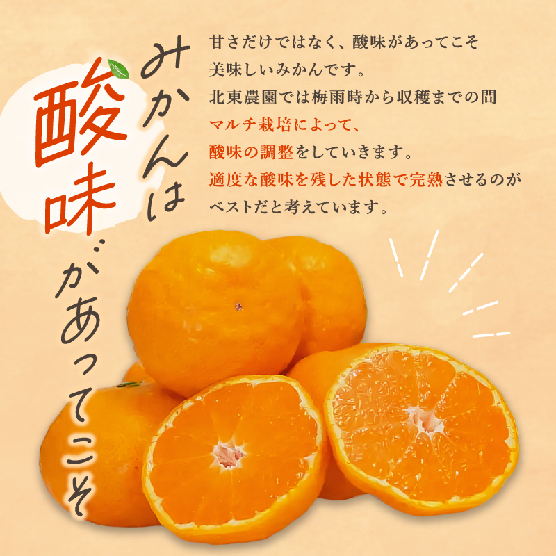 北東農園の温州みかん5キロ【数量限定 期間限定 果物 フルーツ みかん 温州みかん 5kg 三重県 御浜町】